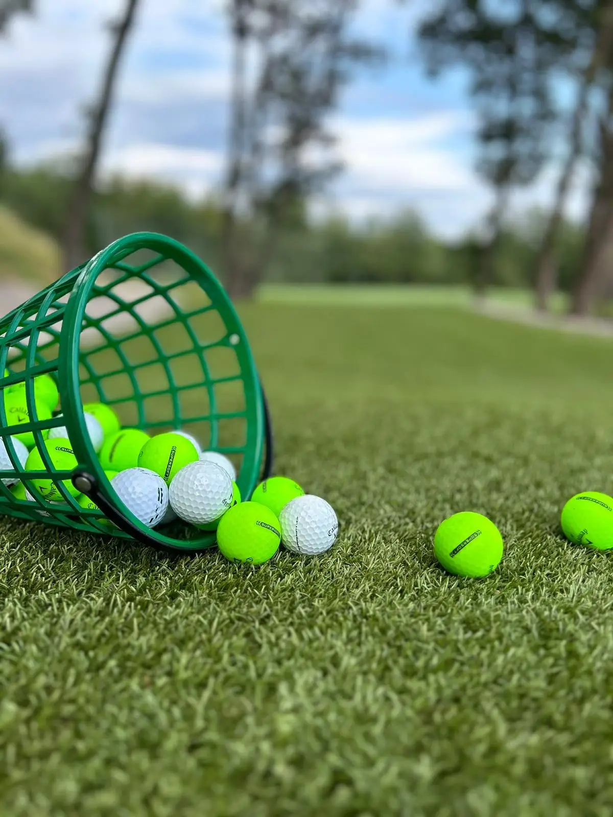 Types of golf balls 